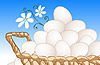 e-Kartki z logo na Wielkanoc - Skaczące kurczaki